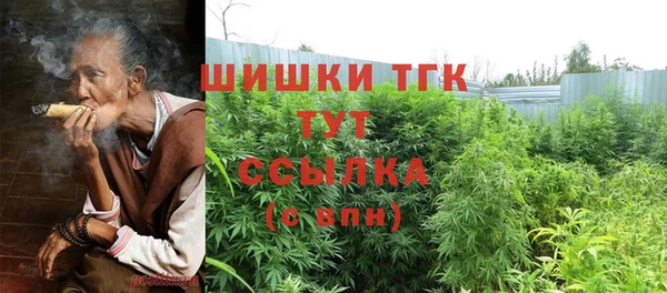 PSILOCYBIN Вязьма