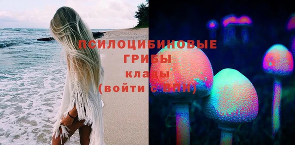 a pvp Вязники