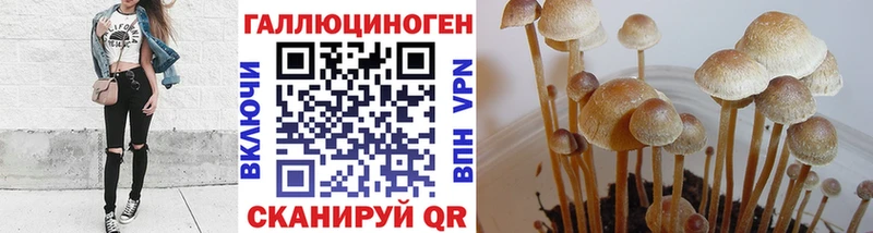 Галлюциногенные грибы MAGIC MUSHROOMS  купить наркотики цена  Новошахтинск 